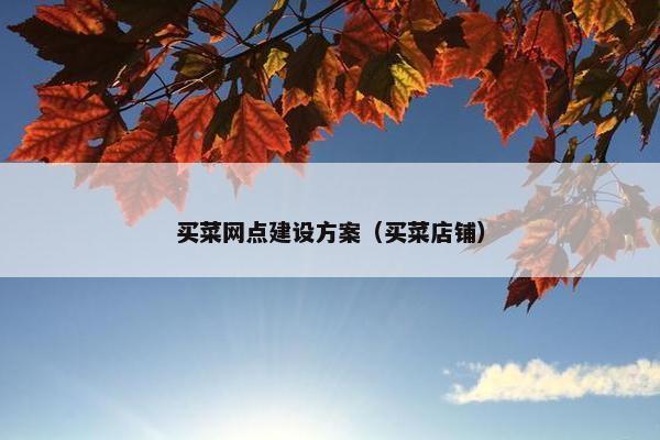 买菜网点建设方案（买菜店铺）
