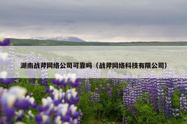 湖南战斧网络公司可靠吗（战斧网络科技有限公司）