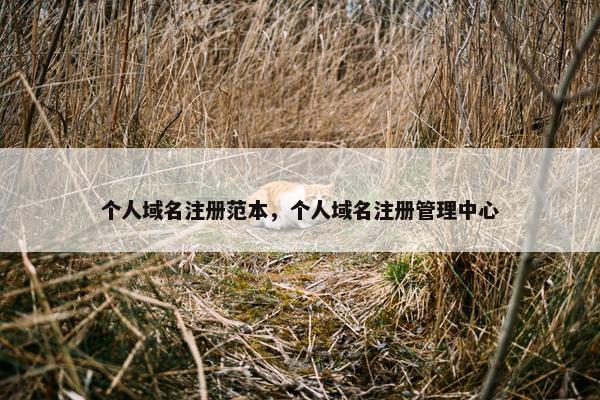 个人域名注册范本，个人域名注册管理中心