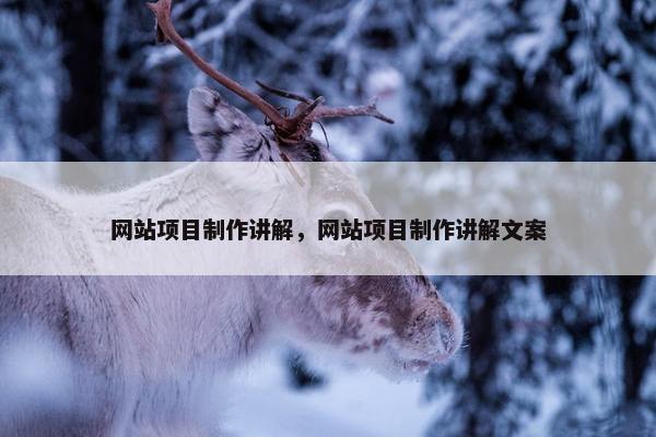 网站项目制作讲解，网站项目制作讲解文案