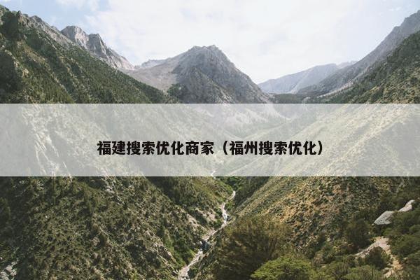 福建搜索优化商家（福州搜索优化）