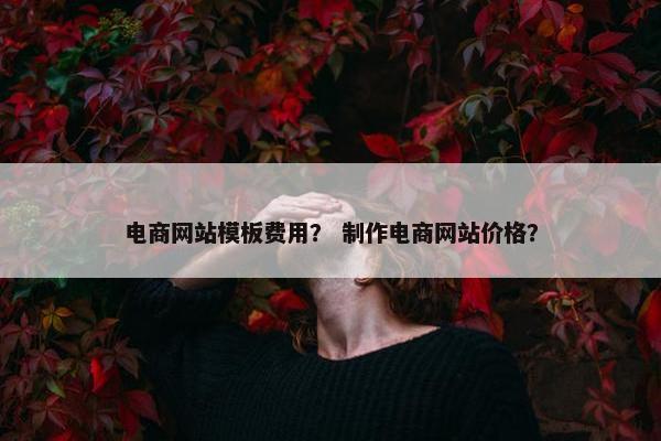 电商网站模板费用？ 制作电商网站价格？