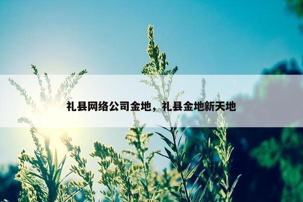 礼县网络公司金地，礼县金地新天地