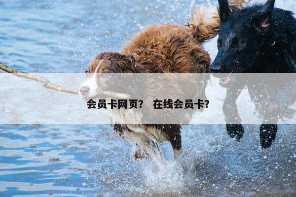 会员卡网页？ 在线会员卡？