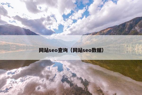 网站seo查询（网站seo数据）