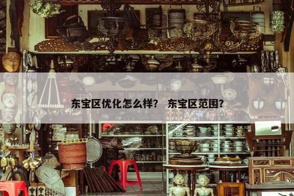 东宝区优化怎么样？ 东宝区范围？