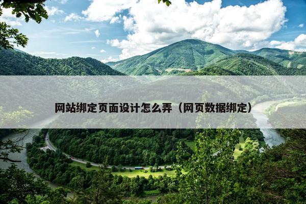 网站绑定页面设计怎么弄（网页数据绑定）