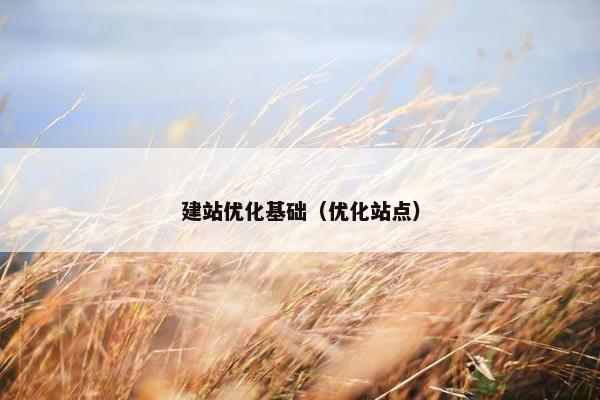 建站优化基础（优化站点）
