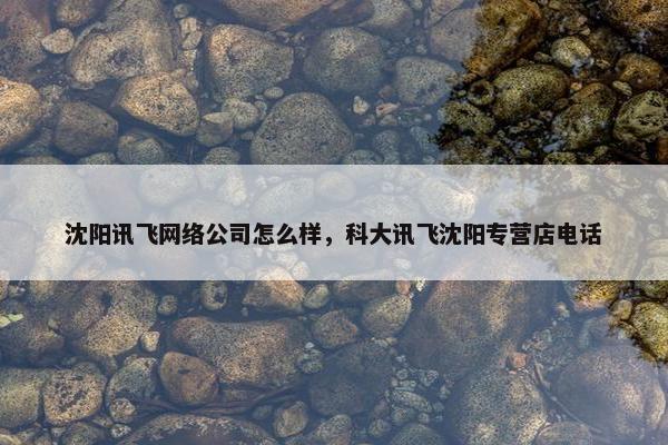 沈阳讯飞网络公司怎么样，科大讯飞沈阳专营店电话