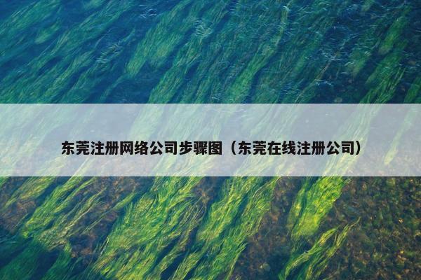 东莞注册网络公司步骤图（东莞在线注册公司）