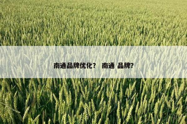 南通品牌优化？ 南通 品牌？