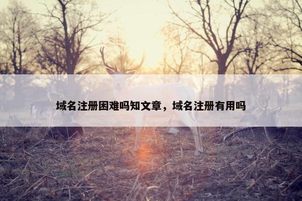 域名注册困难吗知文章，域名注册有用吗
