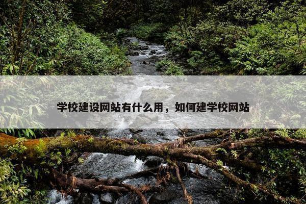 学校建设网站有什么用，如何建学校网站