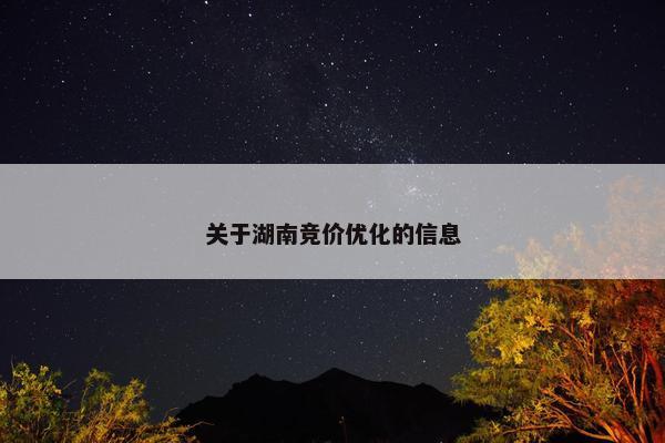 关于湖南竞价优化的信息
