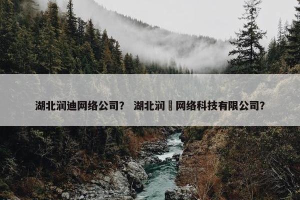 湖北润迪网络公司？ 湖北润炘网络科技有限公司？