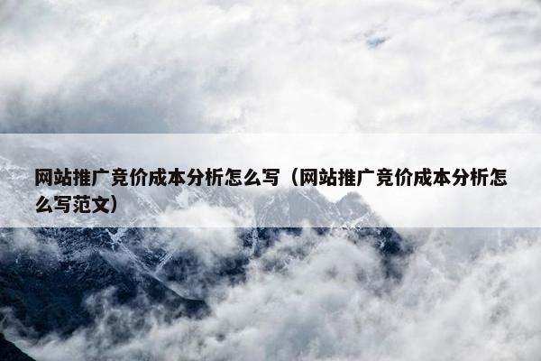网站推广竞价成本分析怎么写（网站推广竞价成本分析怎么写范文）