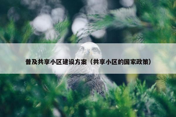 普及共享小区建设方案（共享小区的国家政策）