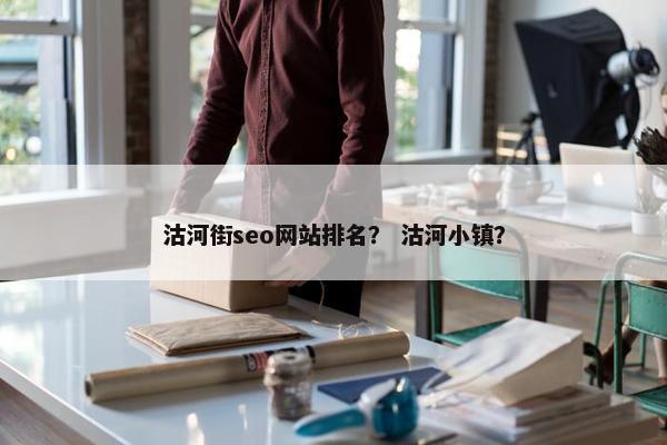 沽河街seo网站排名？ 沽河小镇？