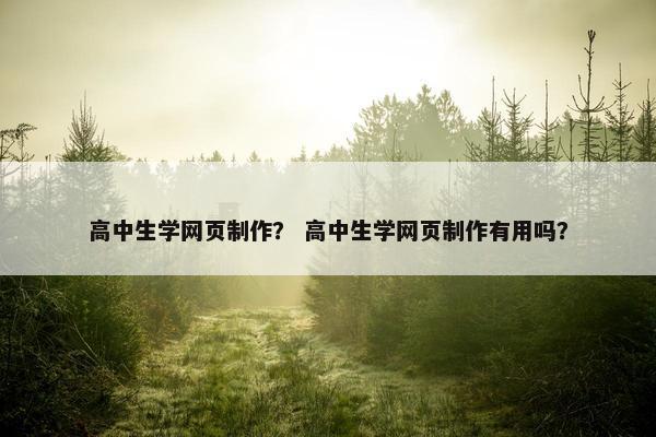 高中生学网页制作？ 高中生学网页制作有用吗？