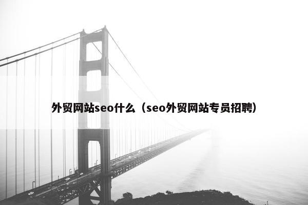 外贸网站seo什么（seo外贸网站专员招聘）