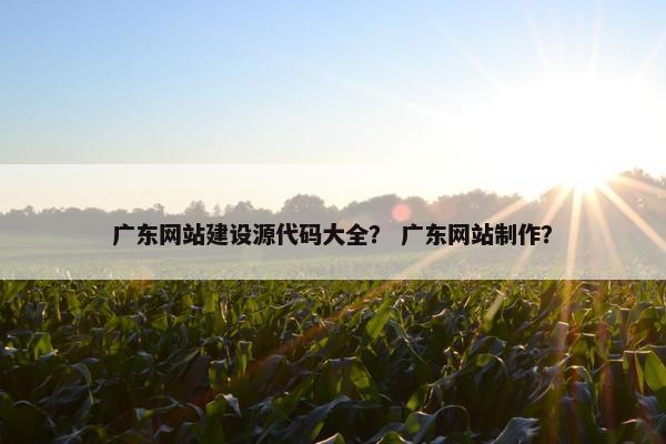 广东网站建设源代码大全？ 广东网站制作？