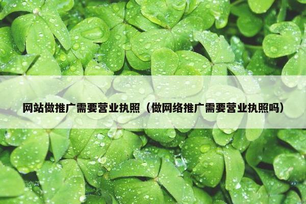 网站做推广需要营业执照（做网络推广需要营业执照吗）