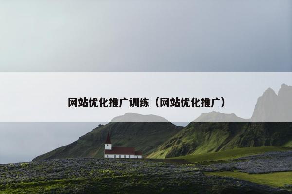 网站优化推广训练（网站优化推广）