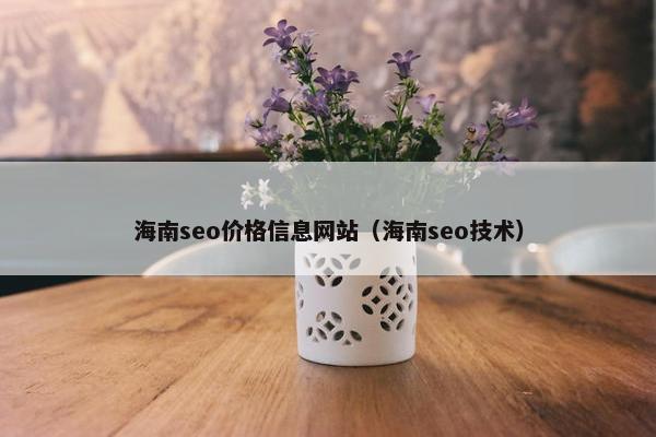 海南seo价格信息网站（海南seo技术）