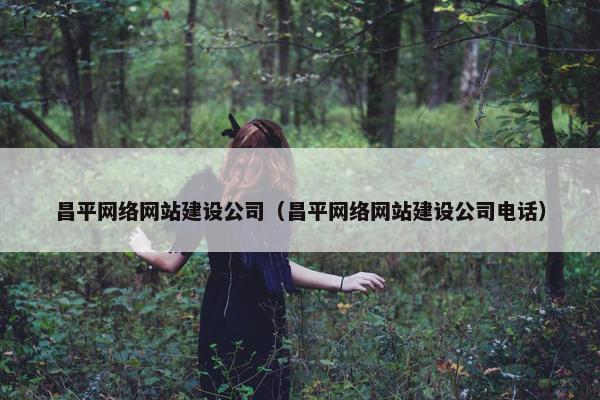 昌平网络网站建设公司（昌平网络网站建设公司电话）