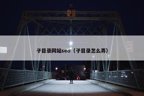 子目录网站seo（子目录怎么弄）