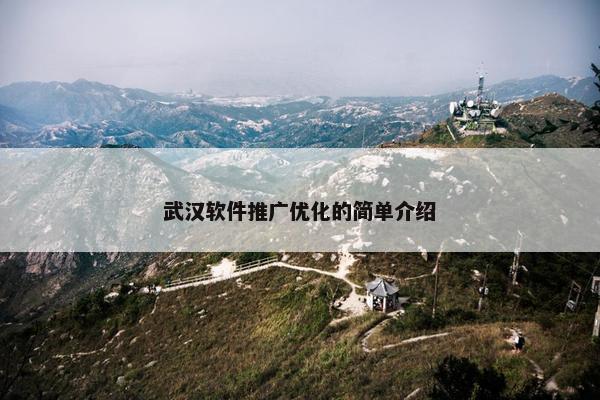 武汉软件推广优化的简单介绍