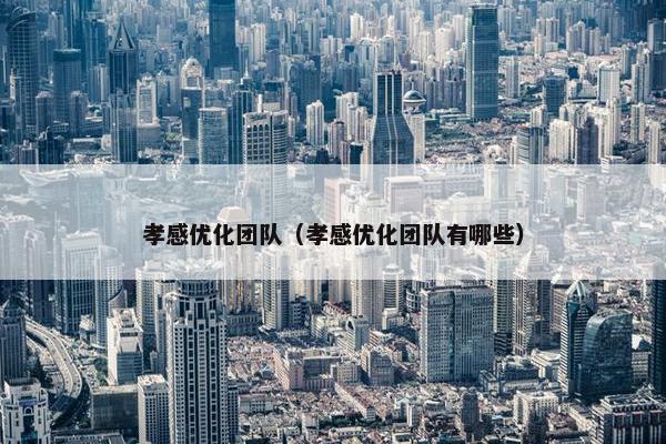孝感优化团队（孝感优化团队有哪些）