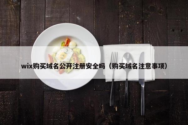 wix购买域名公开注册安全吗（购买域名注意事项）