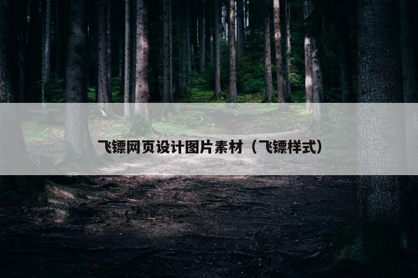 飞镖网页设计图片素材（飞镖样式）
