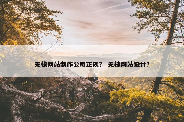 无棣网站制作公司正规？ 无棣网站设计？