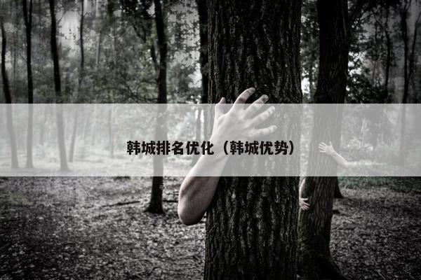 韩城排名优化（韩城优势）