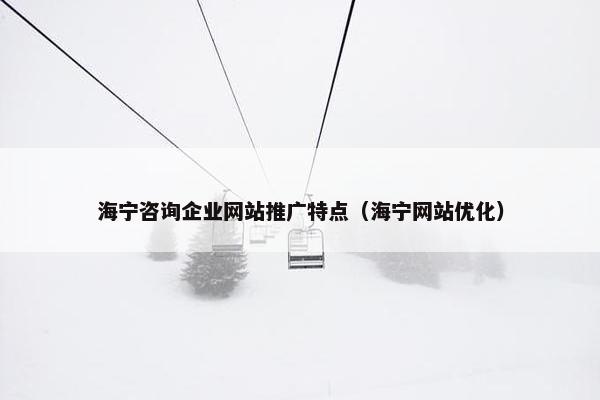 海宁咨询企业网站推广特点（海宁网站优化）