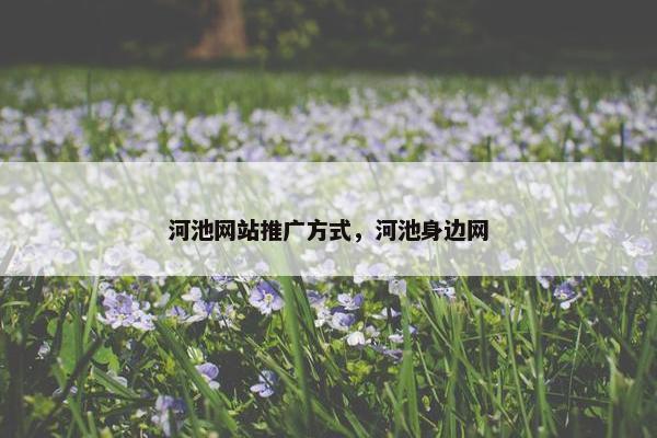 河池网站推广方式，河池身边网