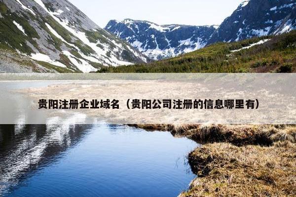 贵阳注册企业域名（贵阳公司注册的信息哪里有）