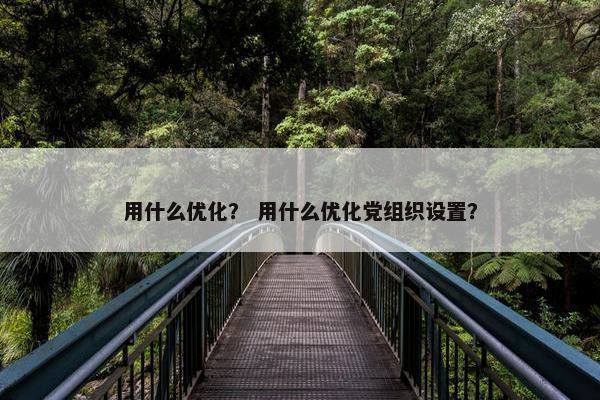 用什么优化？ 用什么优化党组织设置？
