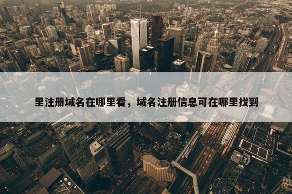 里注册域名在哪里看，域名注册信息可在哪里找到
