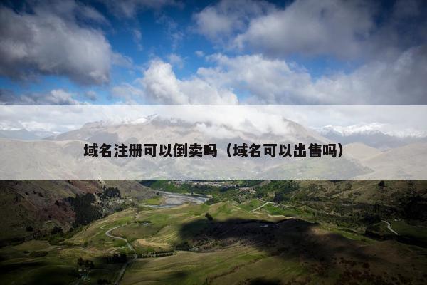 域名注册可以倒卖吗（域名可以出售吗）