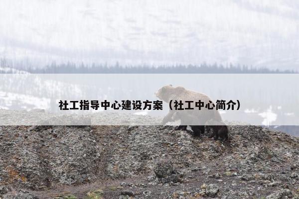 社工指导中心建设方案（社工中心简介）