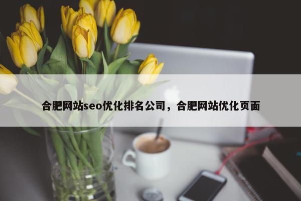 合肥网站seo优化排名公司，合肥网站优化页面