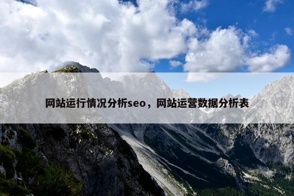 网站运行情况分析seo，网站运营数据分析表