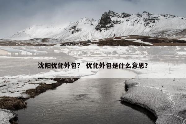 沈阳优化外包？ 优化外包是什么意思？