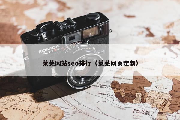 莱芜网站seo排行（莱芜网页定制）