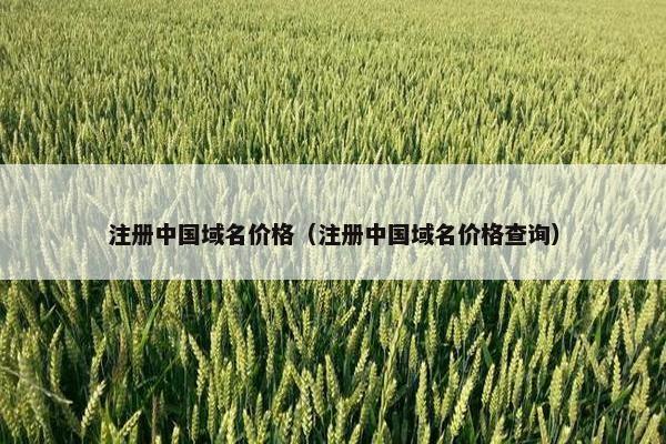 注册中国域名价格（注册中国域名价格查询）