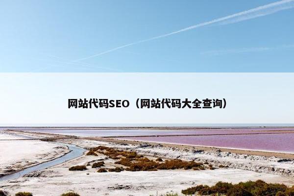 网站代码SEO（网站代码大全查询）