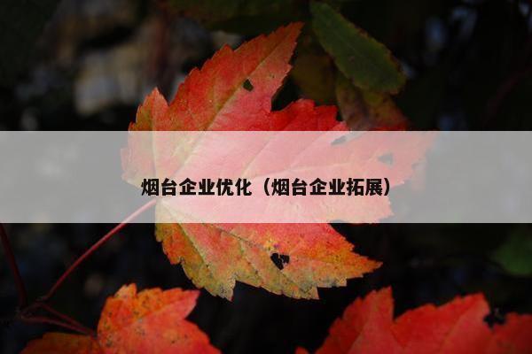 烟台企业优化（烟台企业拓展）